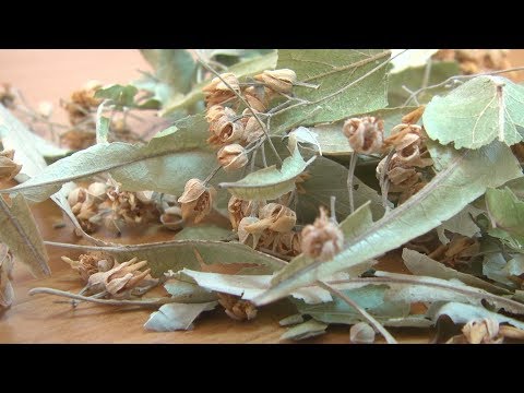 Видео: Васил Дамянов - за билките и чая от билки