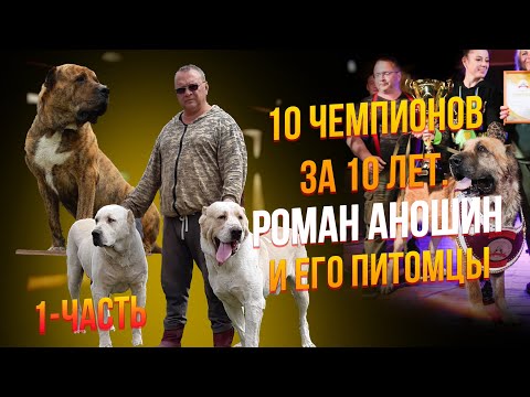 Видео: 10 чемпионов за 10 лет. Роман Аношин и его питомцы. Часть 1