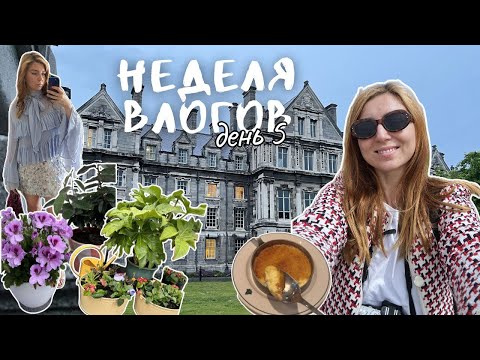Видео: 30. Жизнь в Дублине | Свадьба друзей, новые цветы в саду  | неделя влогов | день 5 жизнь в Ирландии