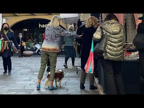 Видео: Что покупают итальянки на рынке, что купила я