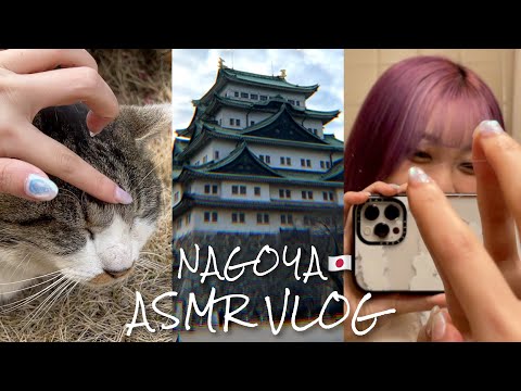Видео: [Субтитры]ASMR Публика в Японии nagoya🏯🐈🇯🇵｜Lo-Fi