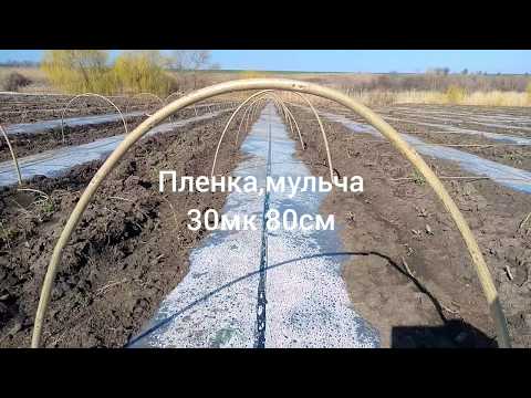 Видео: Готовимся к высадке сладкой кукурузы!Ставим дуги!