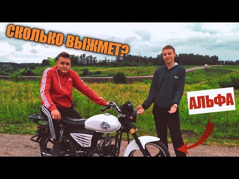 Видео: МАКСИМАЛКА ALPHA VORTEX 110 И DRAG RACING против COBRA CROSSFIRE 125