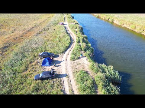 Видео: В этой речке сазан кишит.Рыбалка с ночёвкой на дикого сазана.