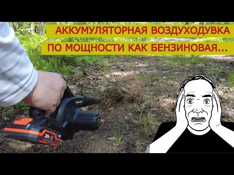 Видео: Новинка ! Мощная маленькая Воздуходувка - Пылесос 2в1 Днипро М