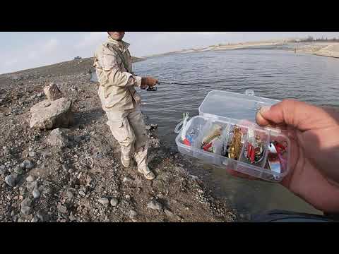 Видео: ловля жерешков в Армении ,Джрапи