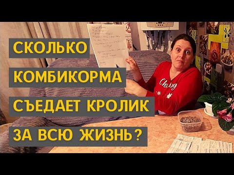 Видео: Сколько комбикорма съедает кролик за всю жизнь?