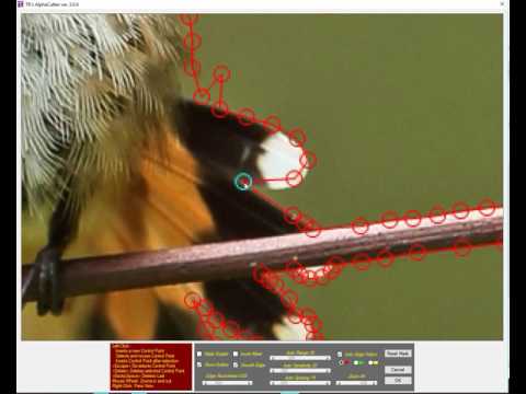 Видео: как вырезать сложный объект из фона с помощью PAINT NET Самый простой способ!