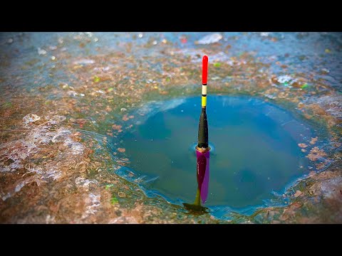 Видео: КРУПНЫЕ КАРАСИ на ПОПЛАВОК с ЛУНКИ!!!