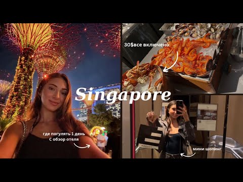 Видео: ВЛОГ СИНГАПУР - что посмотреть за один день, обзор отеля и ресторана все включено за 2000 рублей