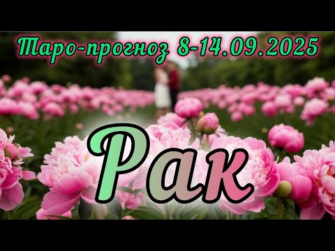 Видео: РАК ♋️ ТАРО-ПРОГНОЗ НА НЕДЕЛЮ 8-14 СЕНТЯБРЯ 2О25 