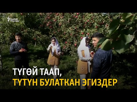 Видео: Түгөй таап, түтүн булаткан эгиздер