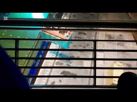 Видео: Ночная смена. Грузим контейнера. Кран LPS280 LIEBHERR 