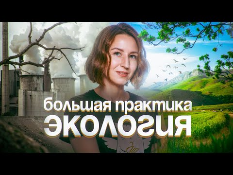 Видео: Экология. Большая практика | ЕГЭ-2025 по биологии