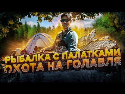 Видео: Рыболовное путешествие в Удмуртию на автомобиле часть 1. Рыбалка на малых реках.