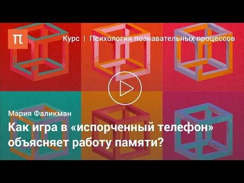 Видео: Классические исследования организации памяти — Мария Фаликман