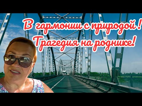 Видео: Абакшино-зона отдыха!Трагедия на роднике!#жизньвмаленькомгороде