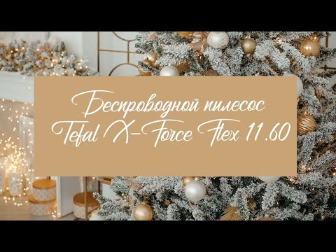 Видео: Обзор и тестирование беспроводного пылесоса Tefal X-Force Flex 11.60