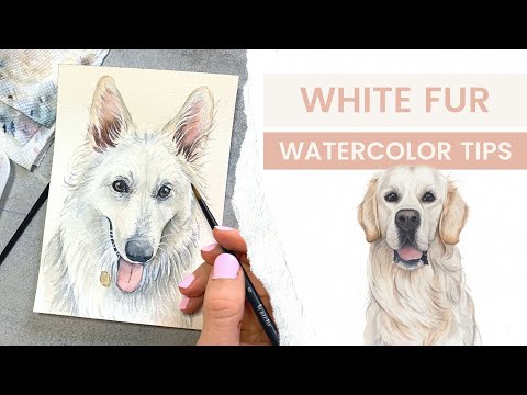 Видео: Советы по рисованию акварелью белого меха