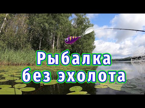 Видео: Рыбалка без эхолота! Лучшая приманка вдоль берега Тейл-спиннер! 100% результат!