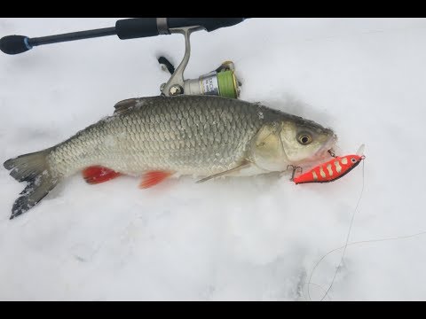 Видео: Лучшие воблеры для ловли голавля и язя. ТОП сезон 2017 (часть 1)