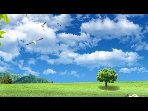 Видео: Повітря. Відео для дітей. Природознавство перший клас.