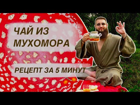 Видео: Как заварить чай из мухоморов? И что будет после...