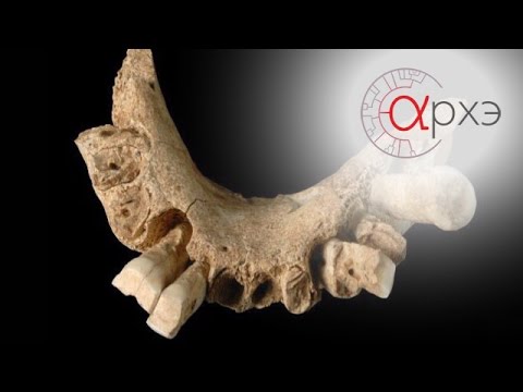 Видео: Станислав Дробышевский: Палеоантропология-2016. Итоги года.