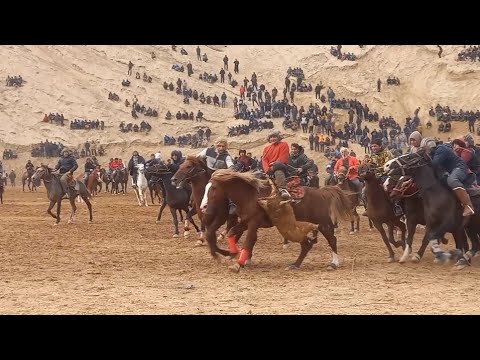 Видео: бузкаши калон баргузоргардид дар нохияи фархор дар дехаи кизилсу