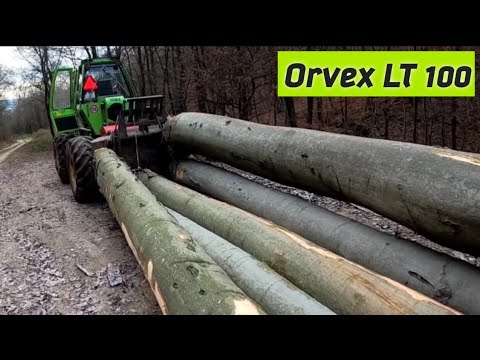 Видео: Orvex lt100 снова в густой заготовке бука после месяца отдыха, Amles, Stihl ms 500i, Лесные работы,