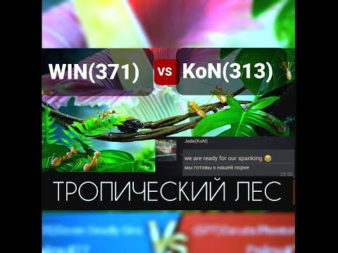 Видео: 21я победа в экспедиции(оттачиваем навыки)
