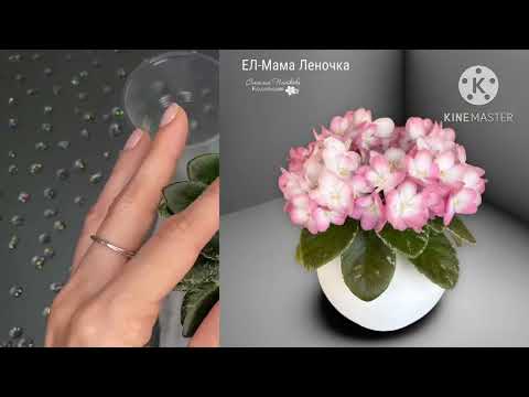 Видео: Наконец-то удачная посылка с фиалками!!