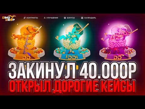 Видео: ЗАКИНУЛ 40.000р НА DINODROP | ПРОВЕРКА ДОРОГИХ КЕЙСОВ НА ДИНОДРОП