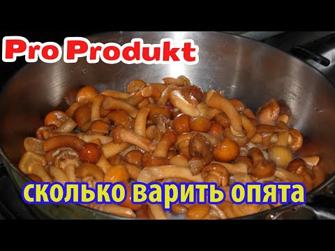 Видео: Сколько варить опята