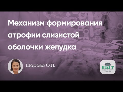 Видео: Печень и желудок. Стеатоз печени – фактор атрофии слизистой оболочки желудка. Возможности терапии