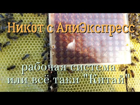 Видео: Китайский Никот. Опыт использования.