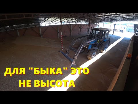 Видео: ОТГРУЗКА ПШЕНИЦЫ // КАЖДЫЙ ДЕНЬ ЧТО-ТО НОВЕНЬКОЕ // ЗАШЛИ НА "ПОЛЕ ЧУДЕС"