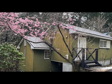 Видео: Дом в Японии за копейки!!! / Cheap house in Japan