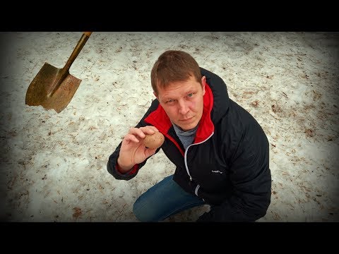 Видео: Сажаем картошку зимой! Уникальный метод!