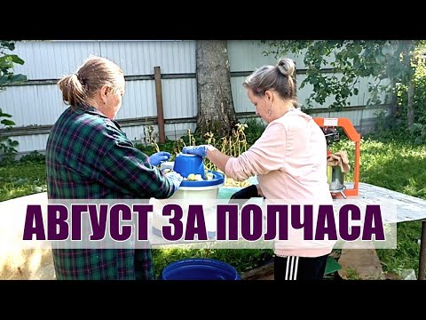 Видео: 45. ГОТОВИМСЯ К ЗИМЕ ПО ПОЛНОЙ: ПАШЕМ, ПЕРЕРАБАТЫВАЕМ, ПЕРЕСАЖИВАЕМ!
