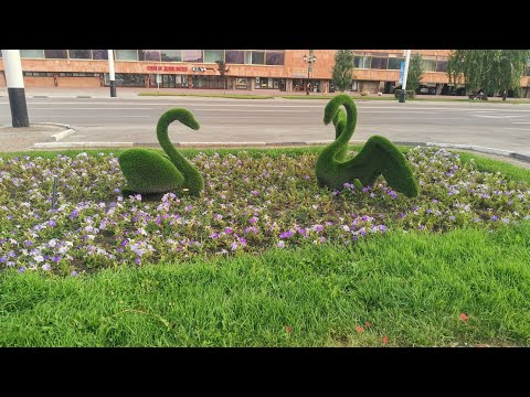 Видео: Тамбов, красивый город!) 