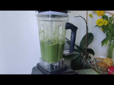Видео: Блендер Biolomix T5200/G5200 спустя 7 месяцев использования