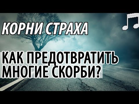 Видео: СТРАХ. Как предотвратить многие СКОРБИ? Святые отцы