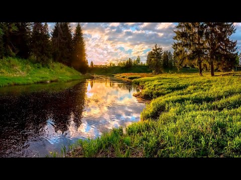 Видео: Как рисовать отражение в воде маслом|как нарисовать отражение в реке|How to Paint Reflections