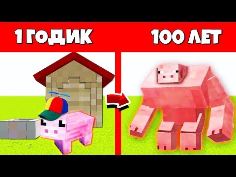 Видео: КАК СВИНЬЯ МУТАНТ ПРОЖИЛ ЖИЗНЬ В МАЙНКРАФТ ЭВОЛЮЦИЯ МОБОВ MINECRAFT ЖИЗНЬ МОБОВ ЖИЗНЕННЫЙ ЦИКЛ