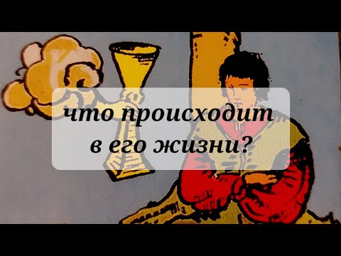 Видео: ЧТО ПРОИСХОДИТ В ЕГО ЖИЗНИ💯💯💯💥💥💥