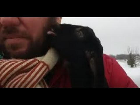 Видео: Купили жениха , родились невесты...