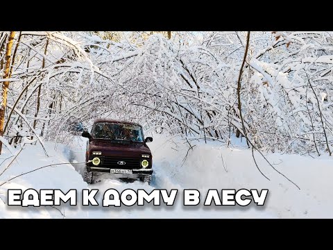 Видео: На Нивах по зимнему лесу в домик Лесника. Дом на берегу речки вдали от цивилизации #нива #бездорожье