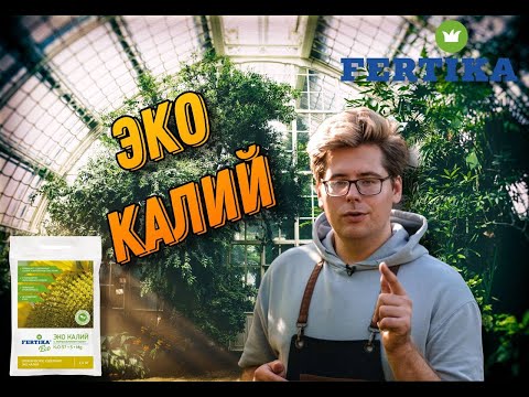 Видео: Как использовать Эко Калий?