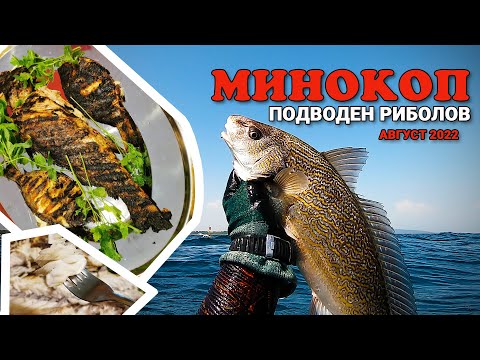 Видео: Подводен риболов на Минокоп